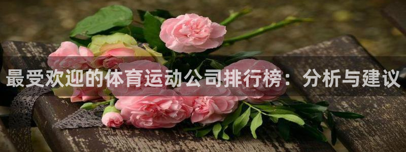 谈球吧体育官网