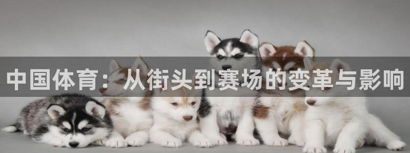 谈球吧体育官网：中国体育：从街头到赛场的变革与影响