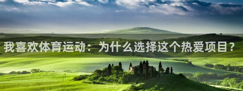 谈球吧：我喜欢体育运动：为什么选择这个热爱项目？