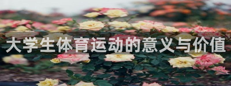 谈球吧体育官网：大学生体育运动的意义与价值