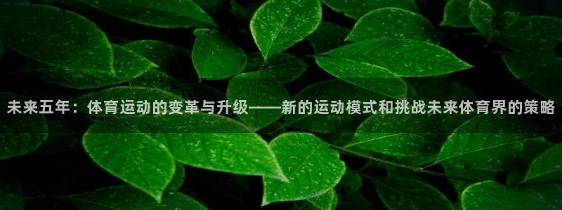 谈球吧体育：未来五年：体育运动的变革与升级——新的运动模式和挑战未来体育界的策略