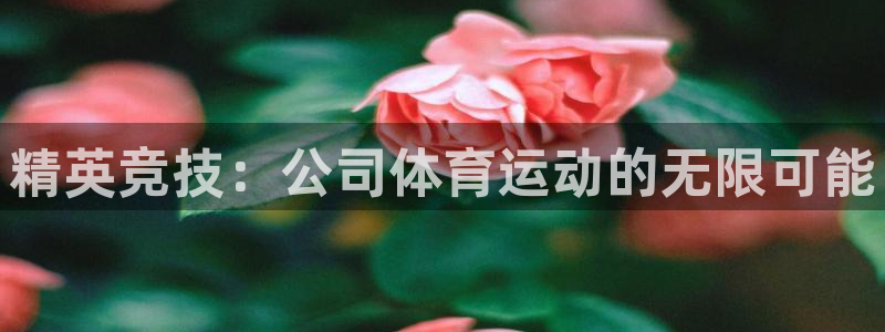 谈球吧体育：精英竞技：公司体育运动的无限可能