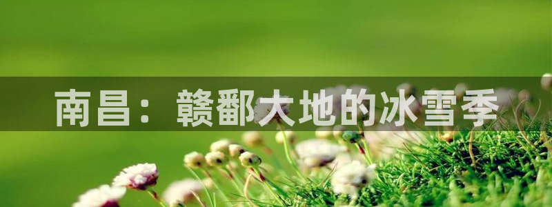 谈球吧