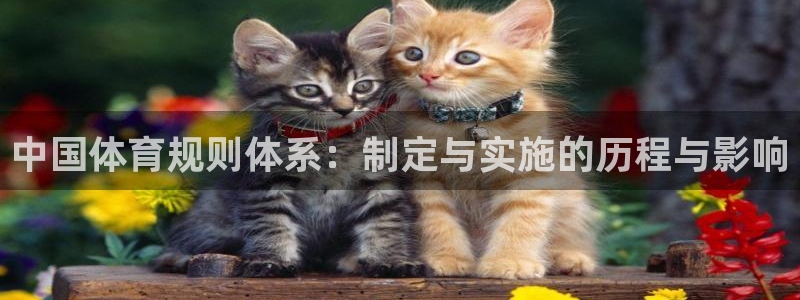 谈球吧体育官网